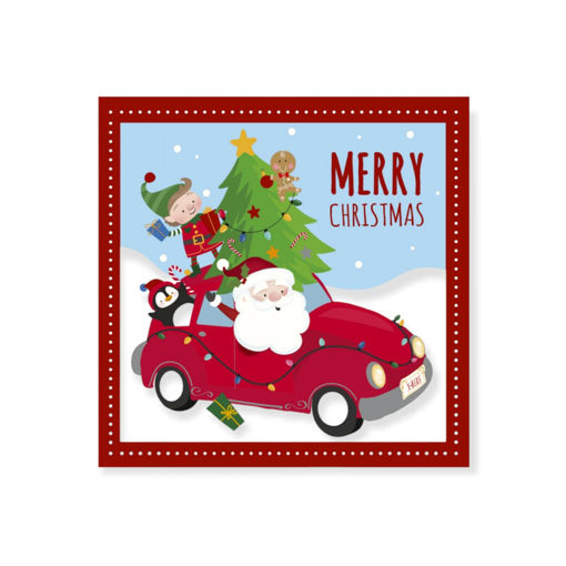 Picture of CHRISTMAS CARDS 12PK 14X14CM CUTE
